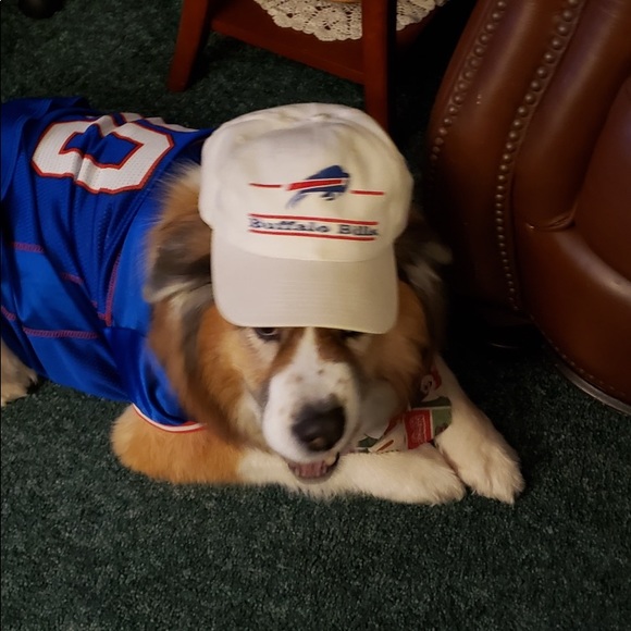 Meet your Posher, James - Picture 1 of 1